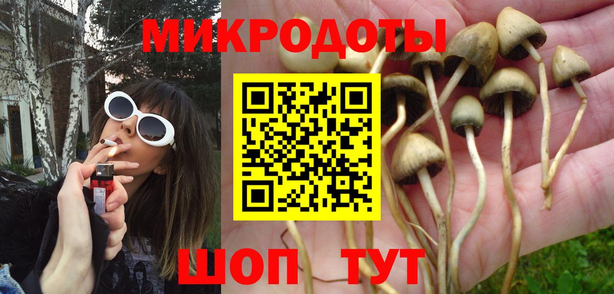 Галлюциногенные грибы мицелий  Галлюциногенные грибы прущие грибы  Вход с VPN  Боровичи 