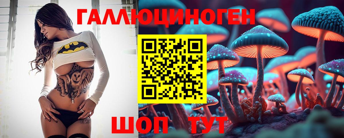 Галлюциногенные грибы Psilocybe Боровичи